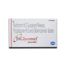 Triglycomet Tablet SR 10s