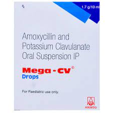 mega Cv
