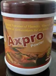 Axpro Gold Powder SF 200gm