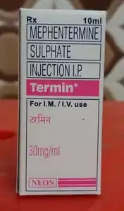 टर्मिन