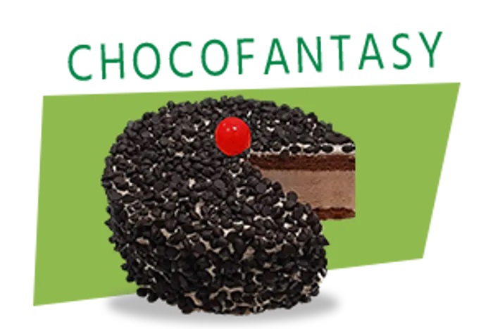 Dairy Day Choco Fantasy Ice Cream Cake 500ml