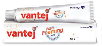 VANTEJ TOOTH PASTE 100GM