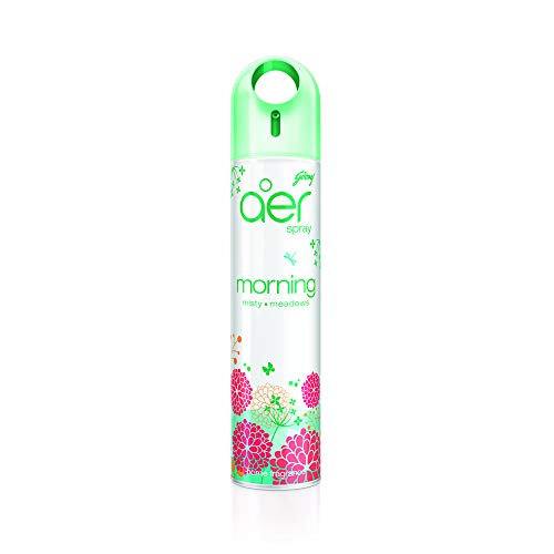 Godrej Aer Morning Misty Spray 240 ml