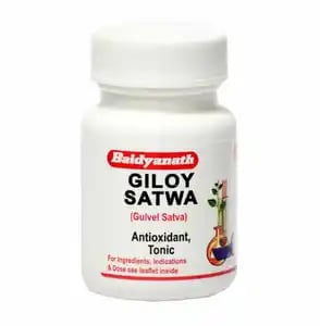 Baidyanath Giloy Satwa Powder 60gm