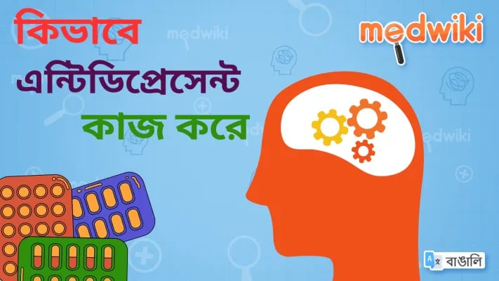 এন্টিডিপ্রেসেন্টস কিভাবে কাজ করে?