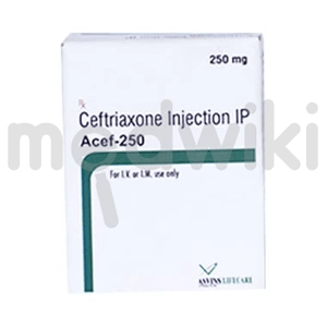 Acef 250 Injection