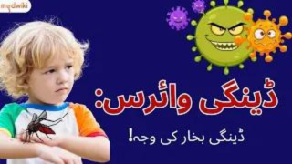 ڈینگی وائرس: ڈینگی بخار کی وجہ