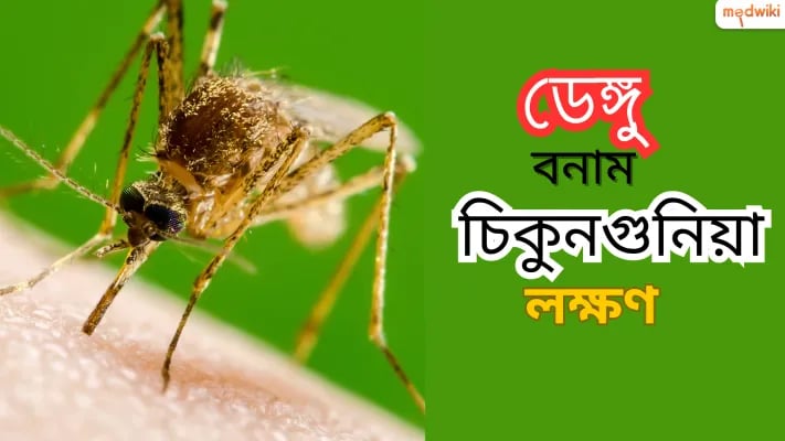 ডেঙ্গু বনাম চিকুনগুনিয়ার লক্ষণ