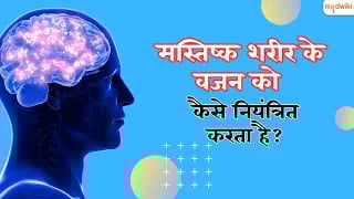 मस्तिष्क शरीर के वजन को कैसे नियंत्रित करता है