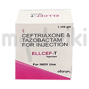 Ellcef-T Injection