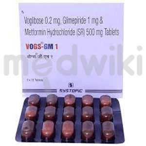 Vogs GM 1 Tablet SR 15s