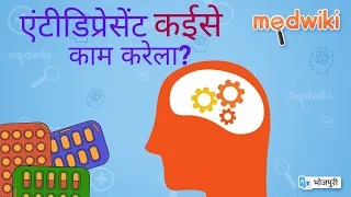 एंटीडिप्रेसेंट कईसे काम करेला?
