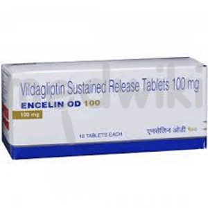 Encelin OD 100mg Tablet SR 10s