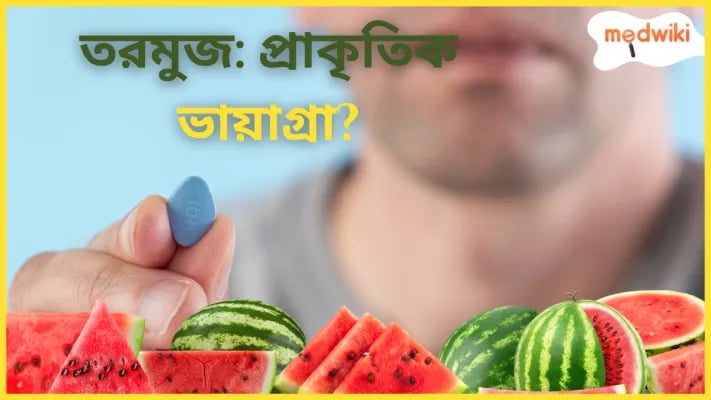 তরমুজ দিয়ে আপনার যৌন ও প্রজনন স্বাস্থ্য বাড়ান! তরমুজের আশ্চর্যজনক যৌন স্বাস্থ্য উপকারিতা!