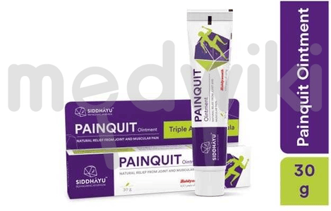 Siddhayu Painquit Ointment 30gm
