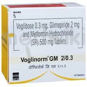 Voglinorm GM 2mg/0.3mg Tablet SR 10s