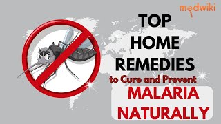 Top Home Remedies to Cure and Prevent Malaria Naturally