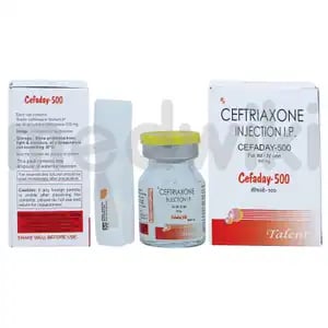 Cefaday 500mg Injection