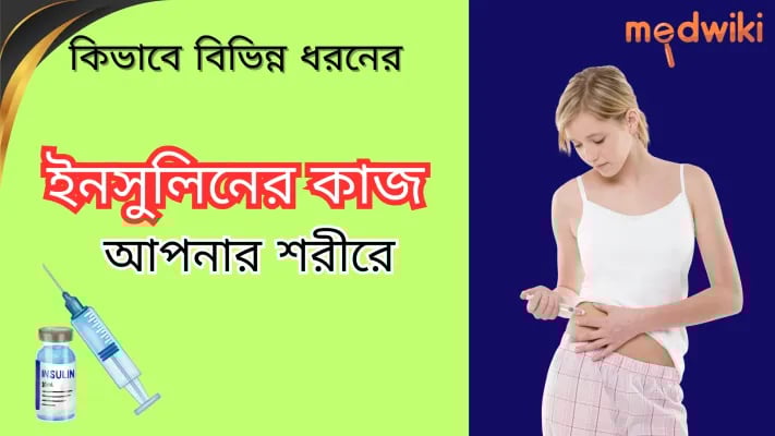 আপনার শরীরে বিভিন্ন ধরণের ইনসুলিন কীভাবে কাজ করে!