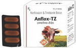 Anflox TZ 100mg/100mg Suspension