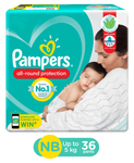 Pampers Pants NBS Diapers 36s