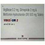Vogs-GM 2 Tablet SR 10s