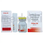 Cefaday 500mg Injection