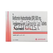 एक्स्मेट ट्रायो 1mg/500mg/0.2mg टैबलेट एसआर 10एस