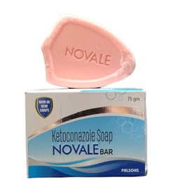 नोवल बार