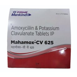 mahamox Cv