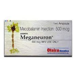 Meganeuron Injection