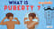 What is Puberty?