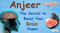 Anjeer: The Secret to Boosting Your Brain Power - Must See!