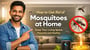 How to Get Rid of Mosquitoes at Home and Keep Your Living Space Peaceful and Healthy?