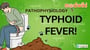 Pathophysiology of Typhoid Fever!