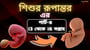 গর্ভাবস্থার 13-16 সপ্তাহে শিশুর রূপান্তর!