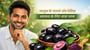 जामुन के फायदे और दैनिक स्वास्थ्य के लिए जावा प्लम(Jamun Benefits and Java Plum for Daily Wellness in Hindi)!