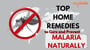 Top Home Remedies to Cure and Prevent Malaria Naturally
