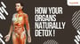Our body naturally detoxifies!