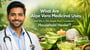 What Are Aloe Vera Medicinal Uses and Why Is This Simple Plant Considered a Household Healer?