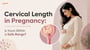 Cervical Length in Pregnancy: Is Yours Within a Safe Range?