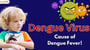 Dengue Virus Cause of Dengue Fever
