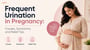 Frequent Urination in Pregnancy: Causes, Symptoms, and Relief Tips